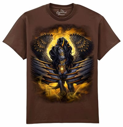 Black Pegasus The Coloured House T-shirt M