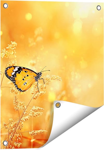 Gards Tuinposter Oranje Vlinder in het Oranje Veld - 40x50 cm - Tuindoek - Tuindecoratie - Wanddecoratie buiten - Tuinschilderij