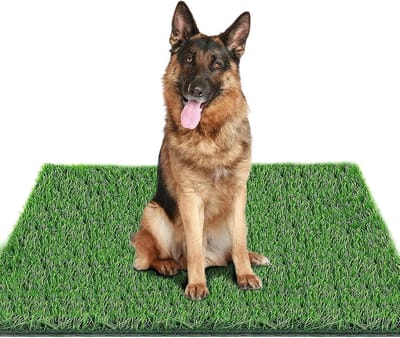 Kunstgrasmat voor Honden 80 x 100 cm - Ideaal voor Binnen en Buiten Gebruik