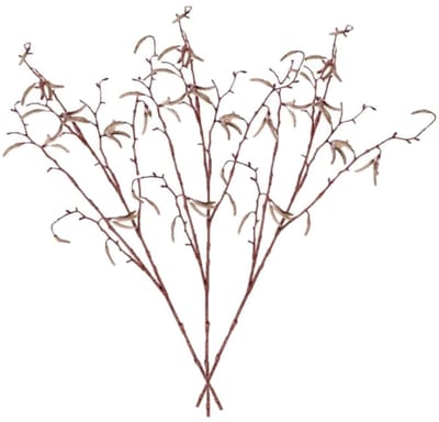 Bellatio flowers & plants Kunsttak - 6x - berkenkatjes - 66 cm - betula pendula - decoratie takken