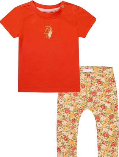 Noppies baby kledingset: Shirt Minkler en Legging Milwaukie Floral maat 68