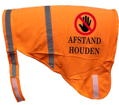 Hondenhesje "AFSTAND HOUDEN", Maat L, Kleur Oranje