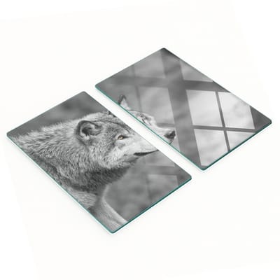 Set van twee decoratieve glazen keukenplanken, wolfgrijs, 2x30x52 cm