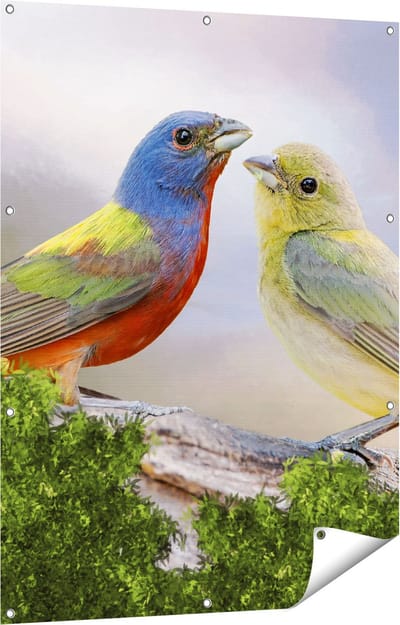 Gards Tuinposter Getekende Gorzen Vogels - Kleur - Abstract - 90x120 cm - Tuindoek - Tuindecoratie - Wanddecoratie buiten - Tuinschilderij