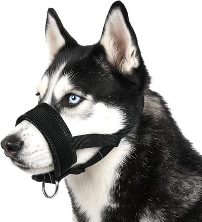Zachte Nylon Hondenmuil met Verstelbare Lus, Duurzame Muil voor Voorkomen van Bijten, Blaffen en Kauwen, Ideaal voor Kleine en Middelgrote Honden