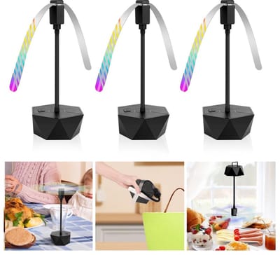 Vouwbare en Oplaadbare Vliegenbestrijders voor Picknick, Terras en Barbecue - Set van 2