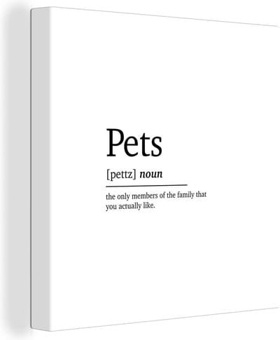Canvas Schilderij Huisdieren definitie - Quotes - Spreuken - Pets - Woordenboek - 50x50 cm - Wanddecoratie