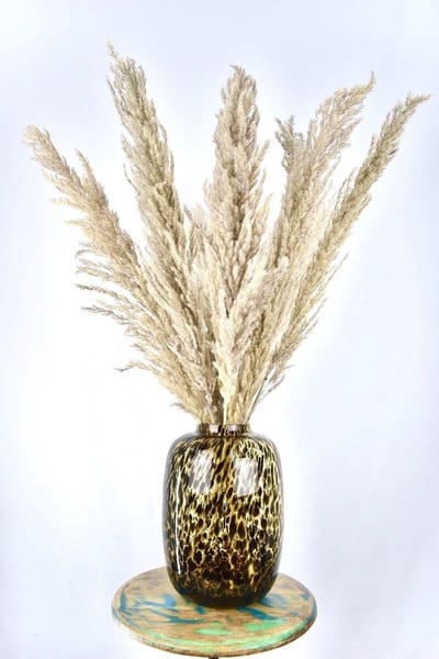 Pampas Pluimen - droogbloemen pluimen - 100 cm - 10 stuks - Natuurlijk Bloemen