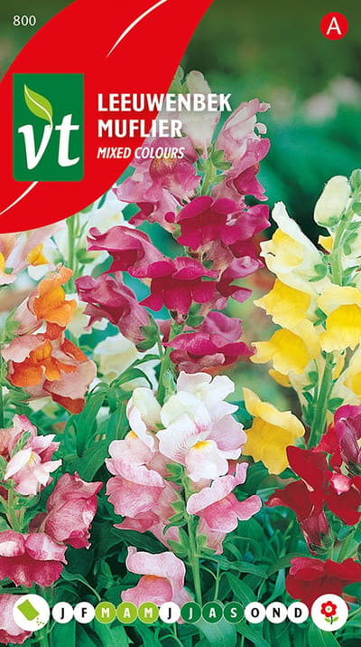 Leeuwenbekken Mixed Colours Zaden - Rijkbloeiende Planten met Kleurrijke Bloemen