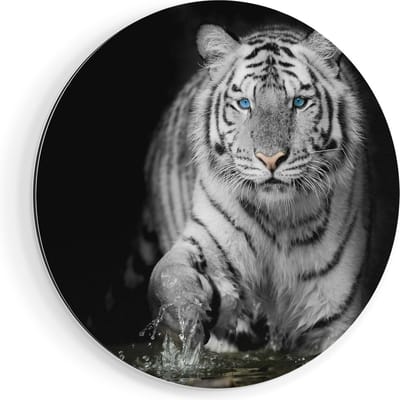 Artaza Dibond Muurcirkel Tijger Met Blauwe Ogen - Zwart Wit - Ø 70 cm - Wandcirkel - Rond Schilderij - Voor Binnen en Buiten