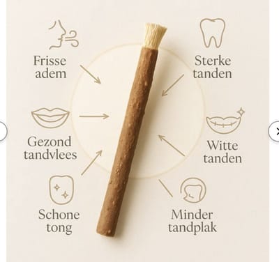 Kureysi Miswak - Misvak - De traditionele Natuurlijke Tandenborstel - Sewak Al-Kureysi - Arak - Medium - Siwak - Sivak