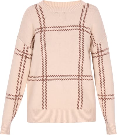 usha Jumper