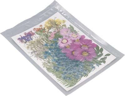 Gedroogde Bloemen Set - Natuurlijke Planten - Creatief Knutselen - 110 Delige Collectie - 19 x 27 cm