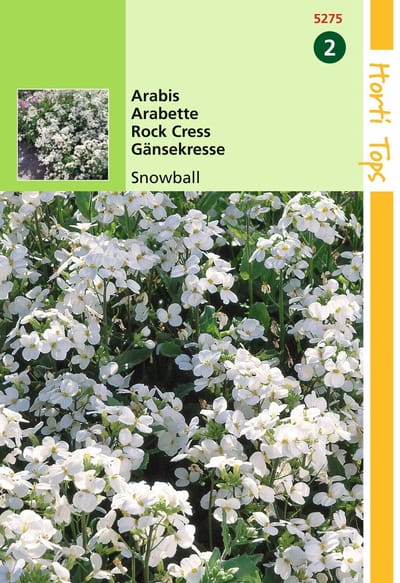 2 stuks - Hortitops - Arabis Alpina Comp. Snowball