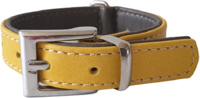 Jack and Vanilla Halsband - Nappaleer - Geel-Grijs - Breedte: 1,4 cm - Nekomtrek: 14 - 17,5 cm (GELIEVE ALVORENS BESTELLEN OPMETEN)