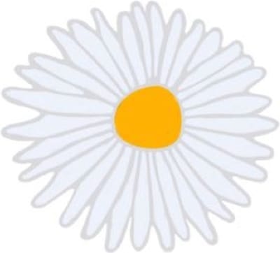 Pin Broche - enamel pin - kledingspeld - Madeliefje
