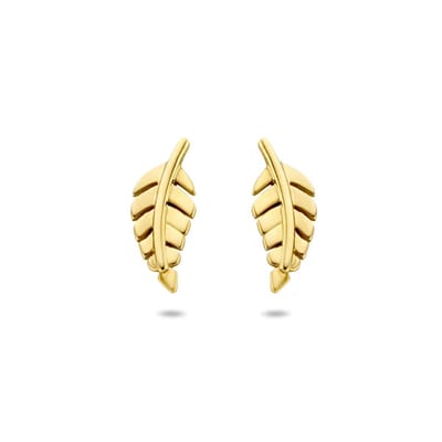 14K Geelgouden oorknoppen veer - 4020688