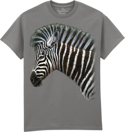 Zebra Foal The Coloured House T-shirt M