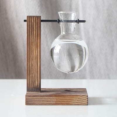 Dailygoods- Reageerbuishouder Vintage - Glazen Bloempot - Houten Standaard - Hydroponic Vaas - Indoor Terrarium - Hoogwaardige Decoratie