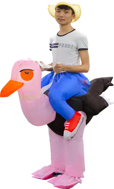 KIMU® Opblaas Kostuum Zittend Op Struisvogel - Opblaasbaar Pak - Struisvogelpak Mascotte Opblaaspak - Opblaasbare Vogel Dames Heren Festival