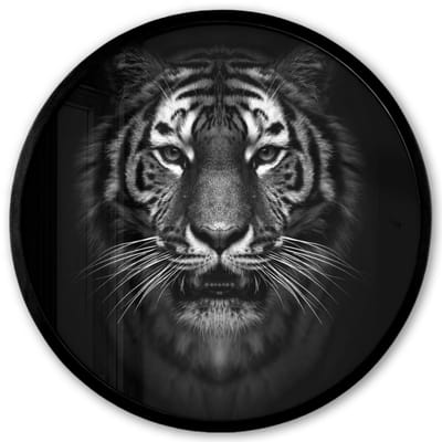 Poster in lijst Rond - Fotolijst 40x40 cm - Posters - Tijger - Dieren - Zwart - Wit - Portret - Wild - Ronde posterlijst zwart - Decoratie - Wanddecoratie woonkamer - Muurdecoratie slaapkamer