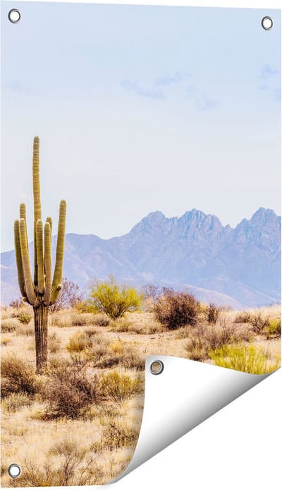 Gards Tuinposter Cactussen in de Woestijn - 40x60 cm - Tuindoek - Tuindecoratie - Wanddecoratie buiten - Tuinschilderij