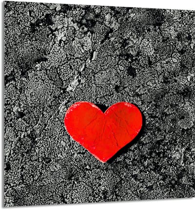 TMK ArtDeko - Glazen Paneel - 60x65 cm - Hart Ontwerp - Multitoepassingen