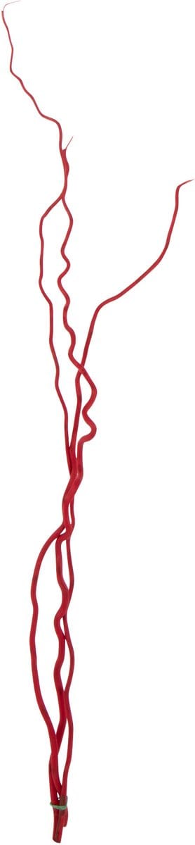J-Line decoratie tak - riet - rood - medium - set van 3