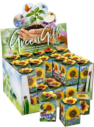 Sluis Garden - Greengift, Zonnebloem 40 stuks in showdoos