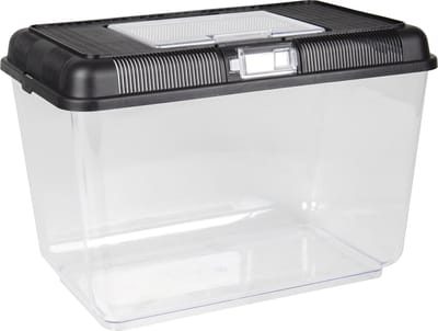Flamingo Goldie - Aquarium Vis - Aquarium Goldie 16l - 1st - 116289 - 1st
