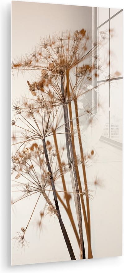 Glasschilderij bloemen - Droogbloemen - Planten - Stilleven - Bruin - Glas decoratie - Glasplaat - Wanddecoratie glas - 60x120 cm - Woonkamer decoratie - Foto op glas - Schilderij glas - Glasschilderijen