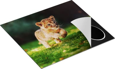 Chefcare Inductie Beschermer Jonge Baby Leeuw in het Wild - Welp - 60x50 cm - Afdekplaat Inductie - Kookplaat Beschermer - Inductie Mat