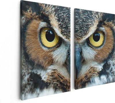Artaza Canvas Schilderij Tweeluik Uil Kop Met Gouden Ogen - 80x60 cm - Wanddecoratie Woonkamer - Schilderijen - Muurdecoratie