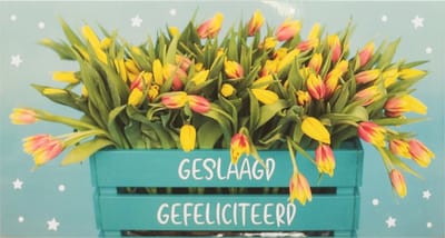 Kaart - Geslaagd - SGP38-C - Geslaagd gefeliciteerd