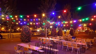 Led party lichtsnoer - 5 meter - 10 lampen - Multicolor - 24V