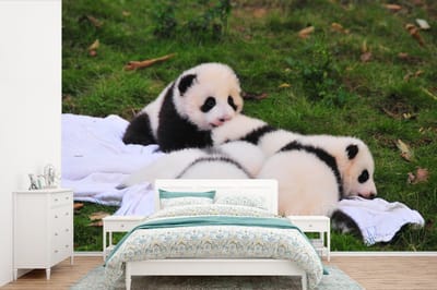 Behang - Fotobehang Panda's - Gras - Deken - Breedte 450 cm x hoogte 300 cm