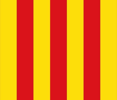 Vlag Kontich 100x150cm