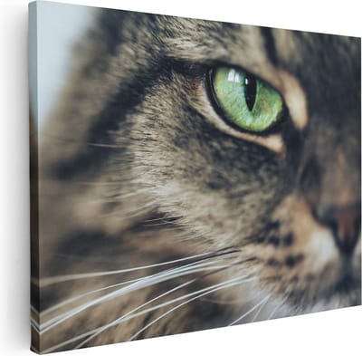 Artaza Canvas Schilderij Kat Groene Ogen - 40x30 cm - Klein - Muurdecoratie Dierenkop - Wanddecoratie Woonkamer - Kamer Accessoires
