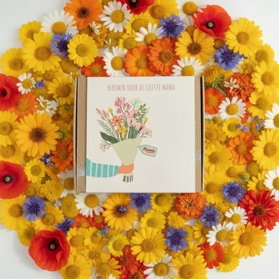 Hip met Pit Creaties - Blossombs Giftbox Moederdag Special Edition - 9 Zaadbommetjes - Duurzaam Bloemen Cadeau - Mama Moeder Gift