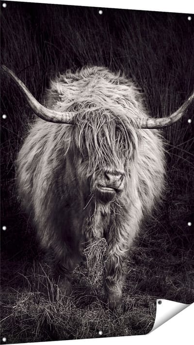 Gards Tuinposter Schotse Hooglander Koe - Zwart Wit - 100x150 cm - Tuindoek - Tuindecoratie - Wanddecoratie buiten - Tuinschilderij