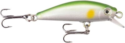Vis Aas - Kunstaas Wobbler - Vissen Vangen - Realistische Actie - 4.2cm 3g - Kleur 06