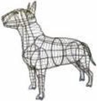 Hond Bulterrier - Frame