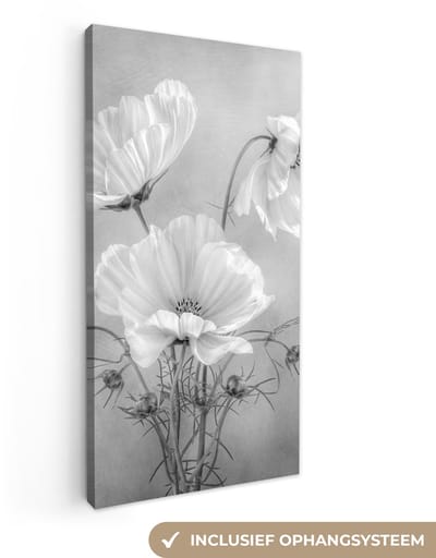 Canvas schilderij 20x40 cm - Wanddecoratie Stilleven - Bloemen - Zwart wit - Klaproos - Botanisch - Muurdecoratie woonkamer - Slaapkamer decoratie - Kamer accessoires - Schilderijen op canvas