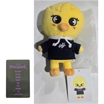 Stray Kids SKZOO Pluche MINI Ver (Magische school) met willekeurige POB