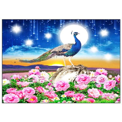 5D DIY diamant schilderij volledige cirkel diamant borduurwerk bloem pauw kruissteek 20X30CM blue