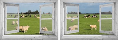 2 Tuindoeken Doorkijk Door Openslaand Wit Venster Hollands Landschap - 130x95 Cm - Tuinposter - Tuin Decoratie - Tuinposters Buiten - Tuinschilderij