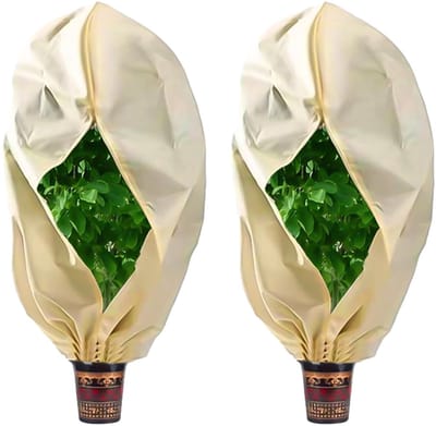 Dailygoods- Vorstbeschermhoes 80 x 120 cm - Plantenhoes tegen vorst - Beschermhoes voor potplanten - 2 stuks - Sterk en betrouwbaar - Gemakkelijk schoon te maken