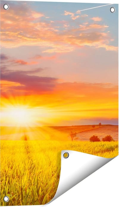 Gards Tuinposter Zonsopgang op het Ma�sveld - 40x60 cm - Tuindoek - Tuindecoratie - Wanddecoratie buiten - Tuinschilderij
