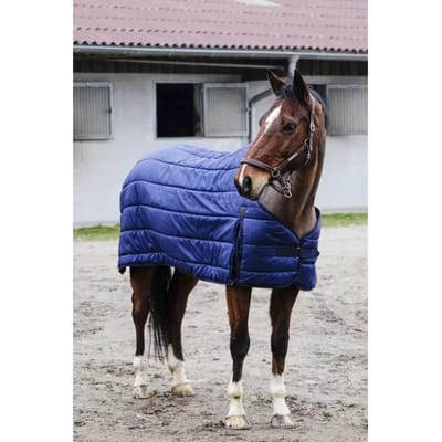 Undercover voor paarden Equithème Classic 50 g