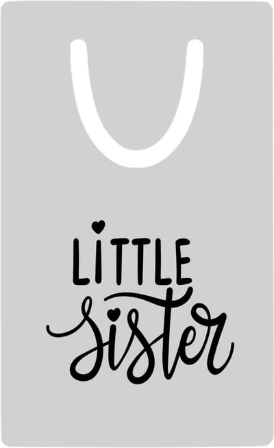 Hacebo® - Little sister metalen boekenlegger - Zus - zusje - cadeau - verjaardag - jongste zus - familie Bladwijzer boekenleggers - 7.6 cm x 5cm